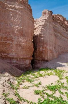 Towering red sandstone cliffs at Angola's coast line Stock Photos