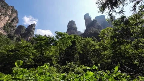 Towering rock formations of Avatar Mountains from forest base Stock Footage 314251310