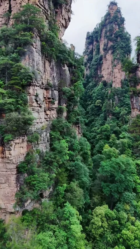 Towering Sandstone Pillars and Lush Forest in Zhangjiajie Hunan China Stock Footage 345727958