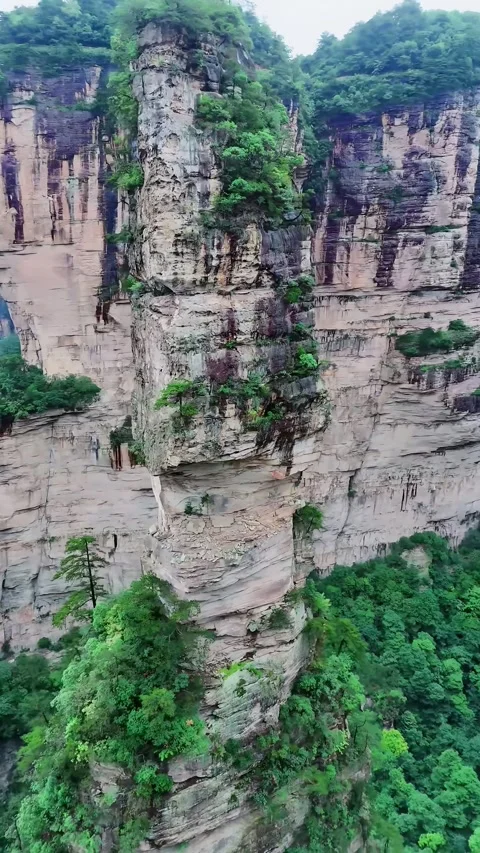 Towering Sandstone Pillars and Lush Green Forest Landscape Zhangjiajie China Stock Footage 345728006