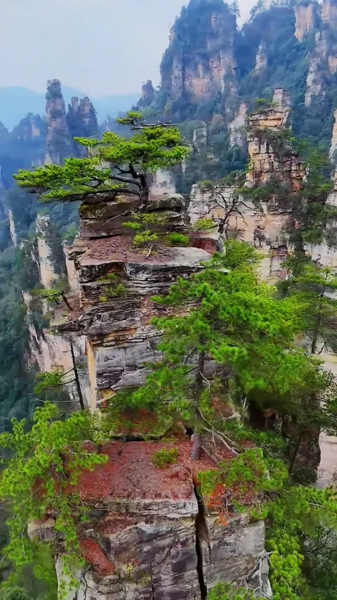 Towering Sandstone Pillars and Lush Green Trees Zhangjiajie Hunan China Stock Footage 345728087
