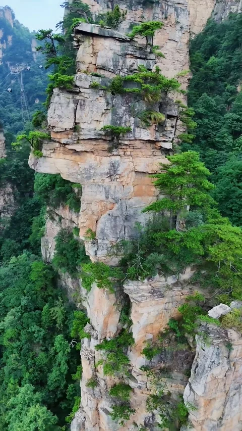 Towering Sandstone Pillars and Lush Green Forests Zhangjiajie Hunan China Stock Footage 345728113