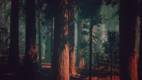 Towering Sequoia Forest, A Verdant Expanse of Majestic Trees. dark forest Stock Illustration