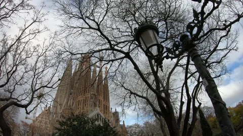 Towering Structure Framed by Bare Trees Stock Footage 314059808