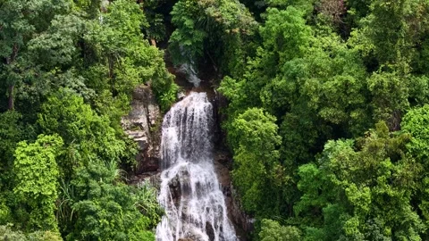 Towering waterfall cascades through emerald forest canopy Stock-Footage 337999808