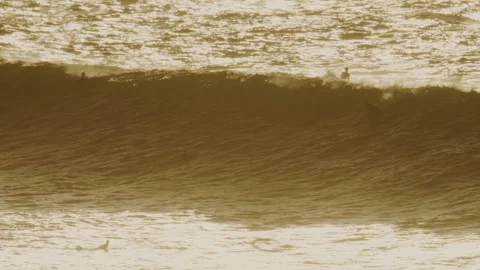 Towering wave builds and rolls near North Avalon shore Video stock 318595184