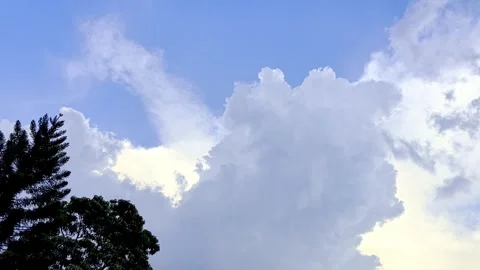 Towering white clouds against bright blue sky Stock Footage 335430518