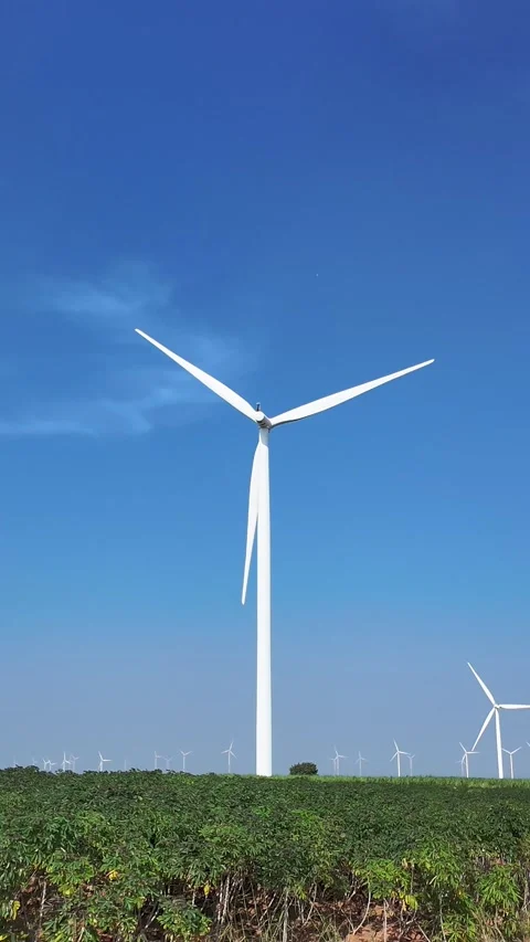 Towering wind turbine generates renewable energy against clear blue sky. Stock Footage 301767143