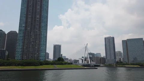 TowerMansion Stock Footage 147960109