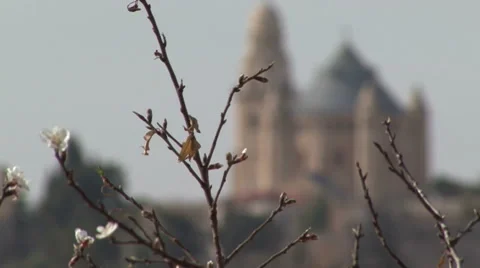 Towers of Old Town. Jerusalem. Stock Footage 51568408