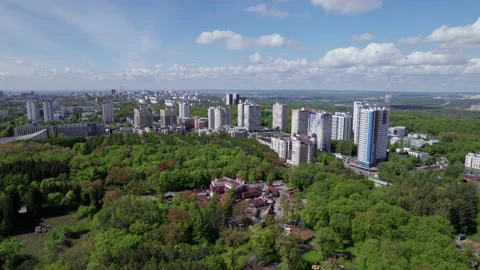 Town and forest Stock Footage 219481423