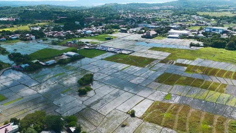 A Town and the Rice Fields Video stock 325041046