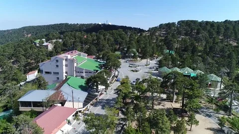 Town and tree tops Stock Footage 78355882