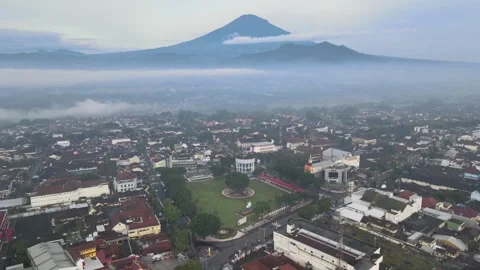 Town Boulevard Stock Footage 149222601