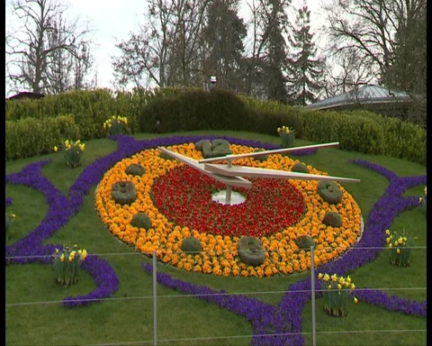 Town clock geneva Stock Footage 87914998