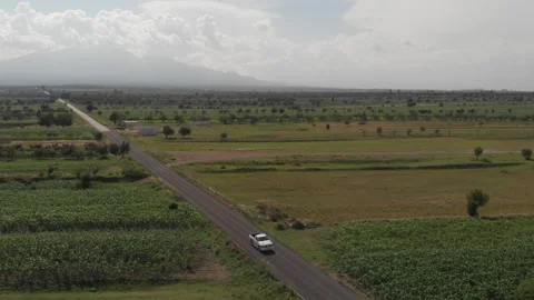 Town field Stock Footage 153515654