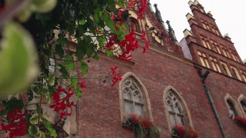 Town Hall on the Central Square. Stock Footage 139232152