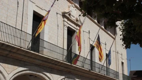 Town hall with waving flags Stock Footage 134605961