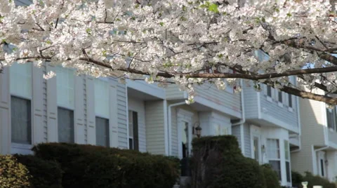 Town homes. Eastern USA. Stock Footage 46182085