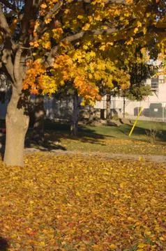 Town landscape Stock Photos