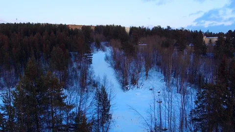 Town in the middle of a pine forest Stock Footage 90744594