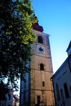 Town tower of Ptuj behind tree Stock Photos
