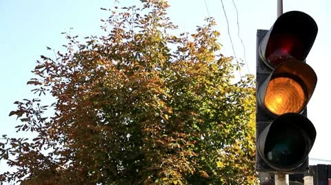 Town traffic light Stock Footage 9845162