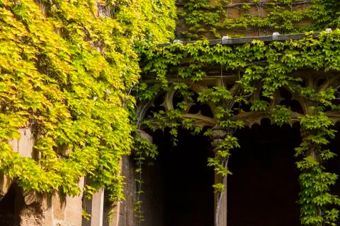 Town of Tudela in Navarra, Spain Stock Photos
