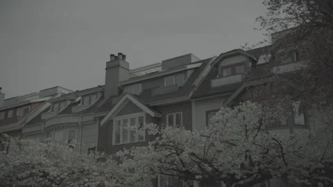 Townhomes cherry blossums 库存影片 153063459