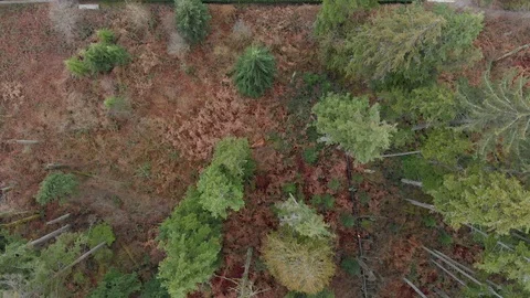 A townhouse complex at the edge of an evergreen forest in North Vancouver, BC Stock Footage 104456459