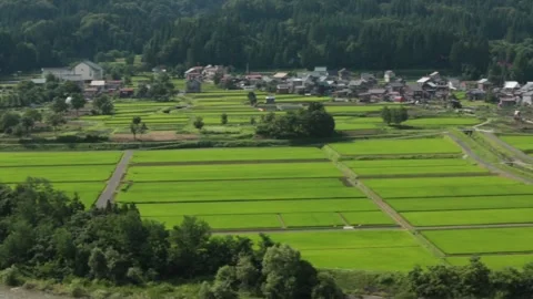 Townscape Video stock 333163217