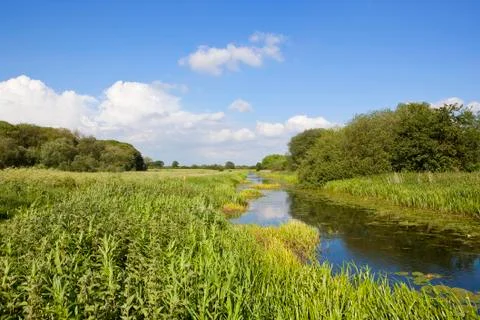 Towpath in summer Stock Photos