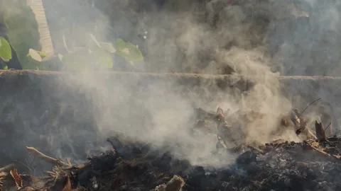 Toxic backyard ground garbage trash waste burn incineration air smoke pollution Stock Footage 150033694