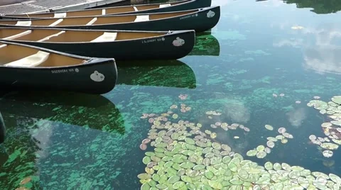 Toxic Blue Algae Next to a Boat Dock Video stock 40954907