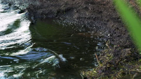 Toxic contaminated water from polution and factory global warming (4k 30p) Stock Footage 156836423
