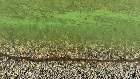 Toxic Cyanobacteria Bloom at Shell Beach Shoreline Top View 库存照片