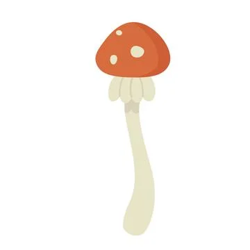 Toxic forest mushroom Stockillustratie