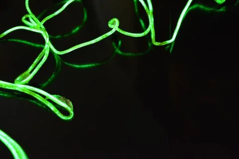 Toxic green lime lighting with specific pattern neon electroluminescent wire. Stock Photos