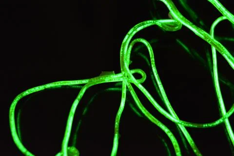 Toxic green lime lighting with specific pattern neon electroluminescent wire. Stock Photos