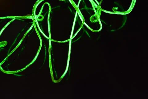 Toxic green lime lighting with specific pattern neon electroluminescent wire. Stock Photos