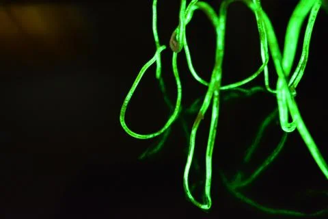 Toxic green lime lighting with specific pattern neon electroluminescent wire. Stock Photos