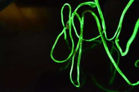 Toxic green lime lighting with specific pattern neon electroluminescent wire. Stock Photos