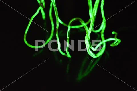 Toxic green lime lighting with specific pattern neon electroluminescent wire. Stock Photos
