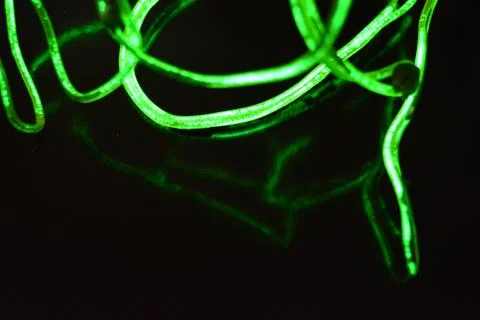 Toxic green lime lighting with specific pattern neon electroluminescent wire. Stock Photos