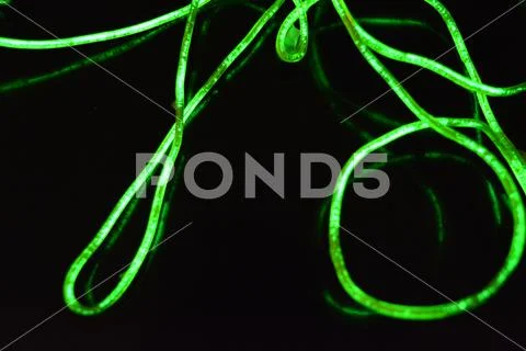 Toxic green lime lighting with specific pattern neon electroluminescent wire. Stock Photos