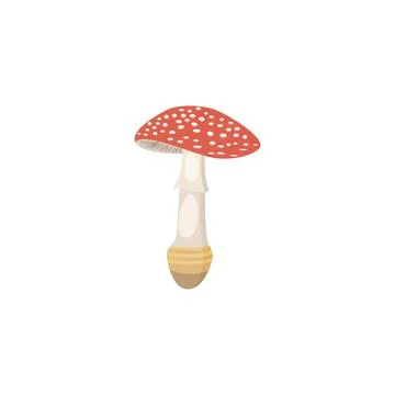 Toxic poisonous forest fly-agaric mushroom, flat vector illustration isolated. Illustrazione stock