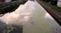 toxic pollution on water river HD видео футажи
