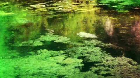 Toxic Waste on the Sea Stock Footage 50456353