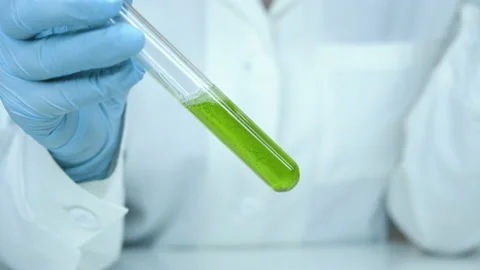 Toxicity. Green energy. Stock Footage 238835617