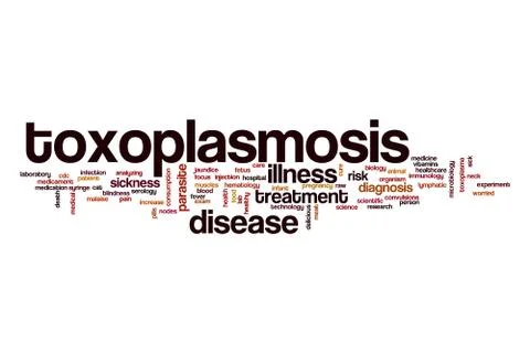 Toxoplasmosis word cloud concept Illustrazione stock